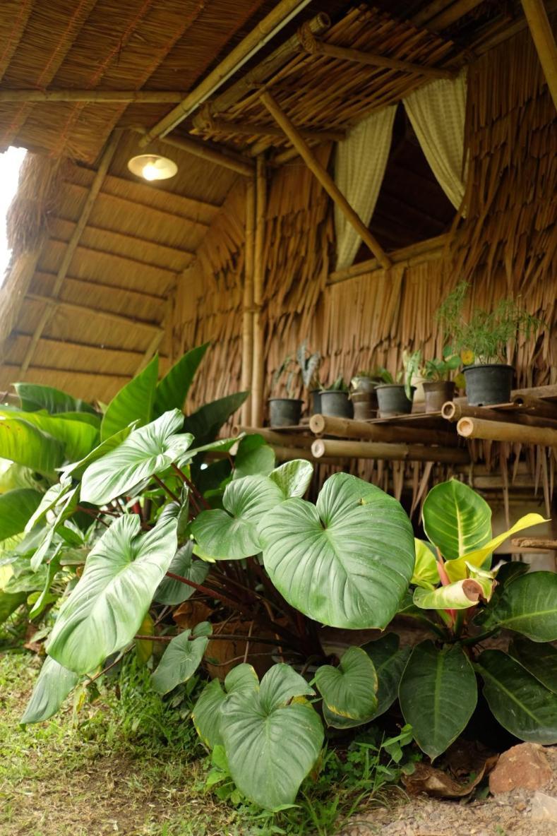ホテル Royal Mountain Hut Ratchaburi 部屋 写真