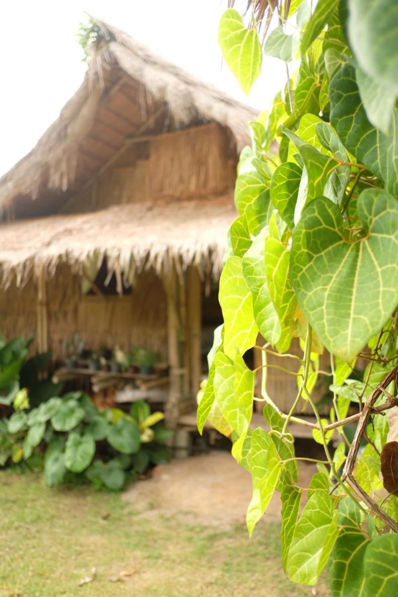 ホテル Royal Mountain Hut Ratchaburi エクステリア 写真