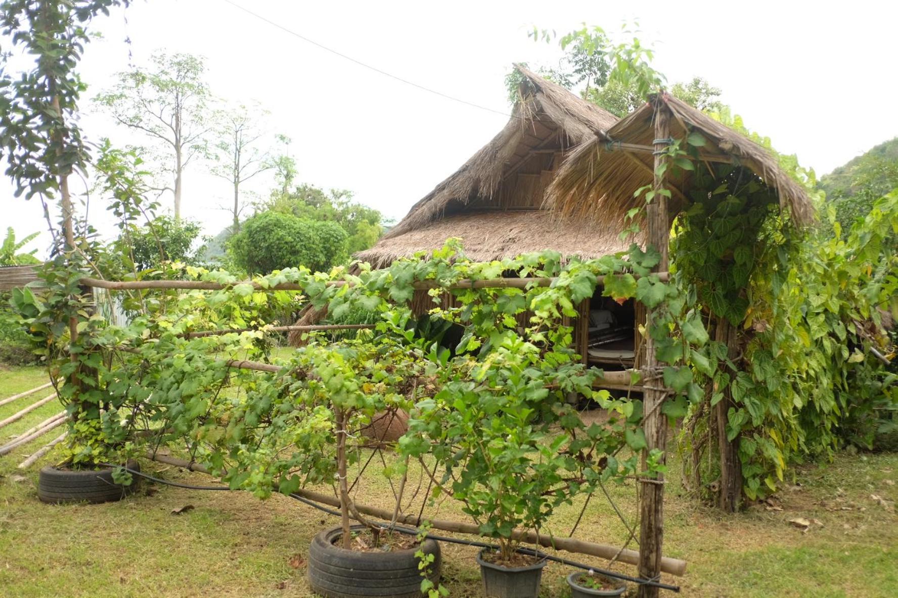 ホテル Royal Mountain Hut Ratchaburi 部屋 写真
